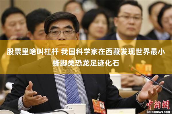 股票里啥叫杠杆 我国科学家在西藏发现世界最小蜥脚类恐龙足迹化石