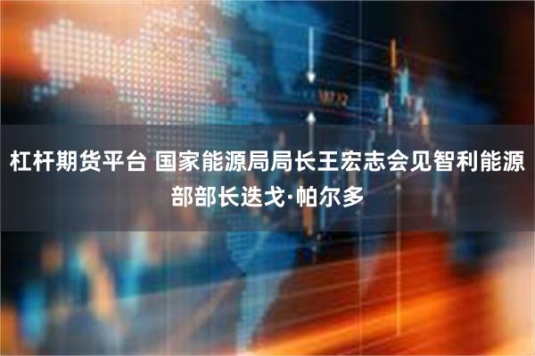 杠杆期货平台 国家能源局局长王宏志会见智利能源部部长迭戈·帕尔多