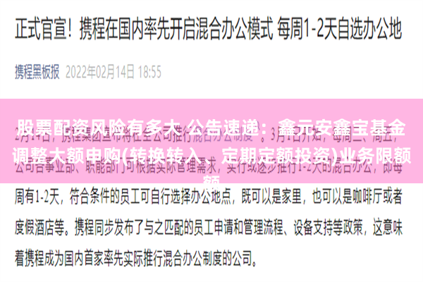 股票配资风险有多大 公告速递：鑫元安鑫宝基金调整大额申购(转换转入、定期定额投资)业务限额