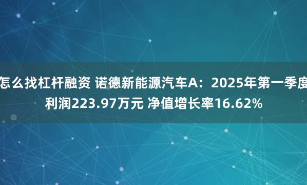 怎么找杠杆融资 诺德新能源汽车A：2025年第一季度利润223.97万元 净值增长率16.62%