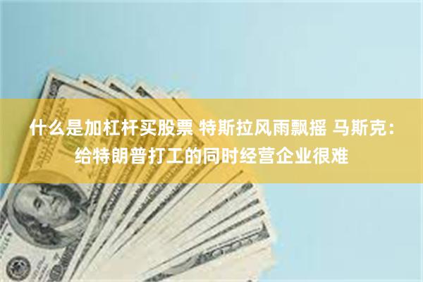 什么是加杠杆买股票 特斯拉风雨飘摇 马斯克：给特朗普打工的同时经营企业很难