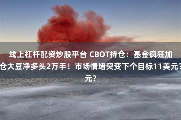 线上杠杆配资炒股平台 CBOT持仓：基金疯狂加仓大豆净多头2万手！市场情绪突变下个目标11美元？
