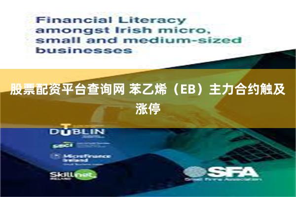 股票配资平台查询网 苯乙烯（EB）主力合约触及涨停