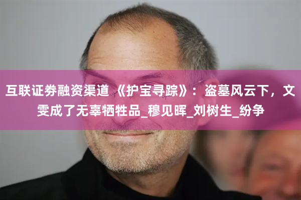 互联证劵融资渠道 《护宝寻踪》：盗墓风云下，文雯成了无辜牺牲品_穆见晖_刘树生_纷争