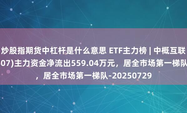 炒股指期货中杠杆是什么意思 ETF主力榜 | 中概互联网ETF(159607)主力资金净流出559.04万元，居全市场第一梯队-20250729