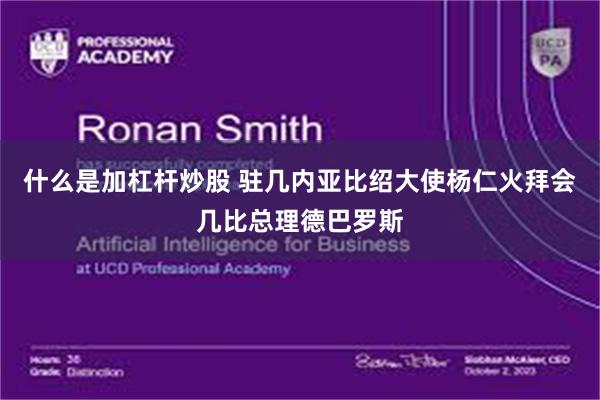 什么是加杠杆炒股 驻几内亚比绍大使杨仁火拜会几比总理德巴罗斯