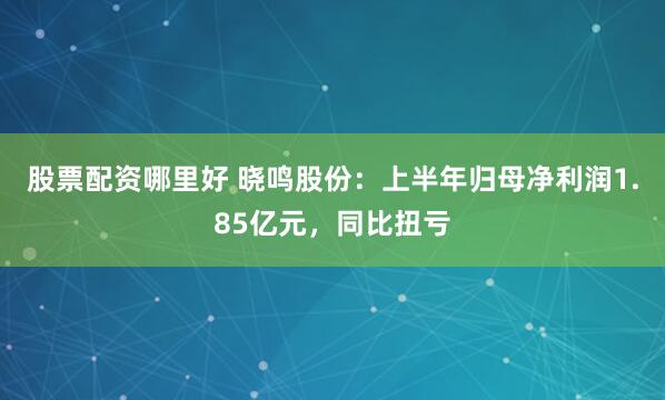 股票配资哪里好 晓鸣股份：上半年归母净利润1.85亿元，同比扭亏