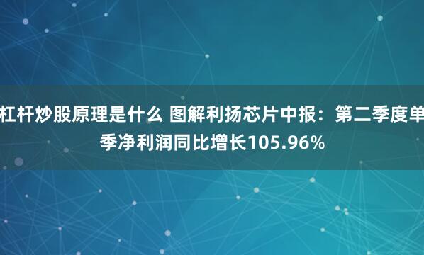 杠杆炒股原理是什么 图解利扬芯片中报：第二季度单季净利润同比增长105.96%