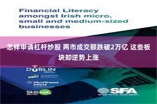 怎样申请杠杆炒股 两市成交额跌破2万亿 这些板块却逆势上涨