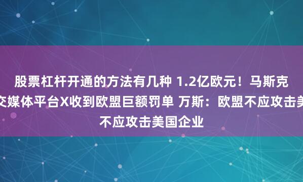 股票杠杆开通的方法有几种 1.2亿欧元！马斯克旗下社交媒体平台X收到欧盟巨额罚单 万斯：欧盟不应攻击美国企业