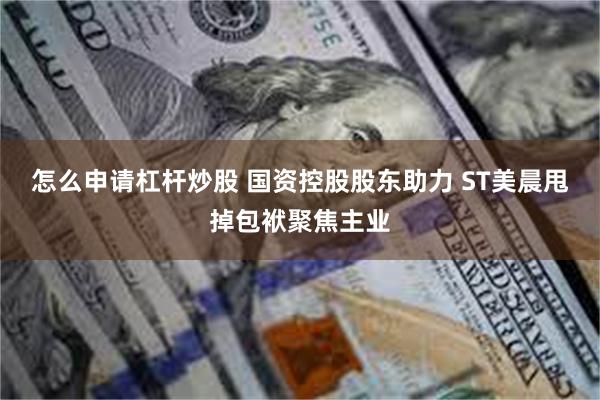 怎么申请杠杆炒股 国资控股股东助力 ST美晨甩掉包袱聚焦主业