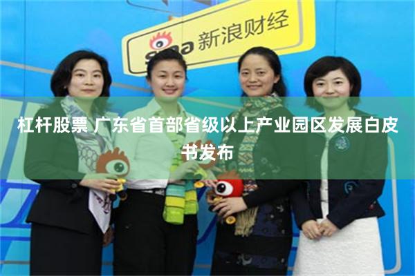 杠杆股票 广东省首部省级以上产业园区发展白皮书发布
