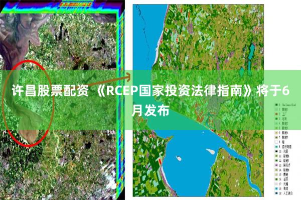 许昌股票配资 《RCEP国家投资法律指南》将于6月发布