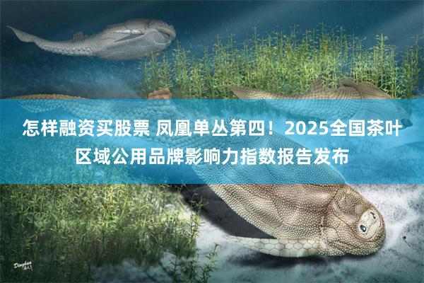 怎样融资买股票 凤凰单丛第四！2025全国茶叶区域公用品牌影响力指数报告发布