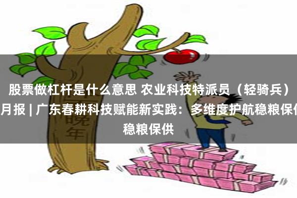 股票做杠杆是什么意思 农业科技特派员（轻骑兵）4月报 | 广东春耕科技赋能新实践：多维度护航稳粮保供