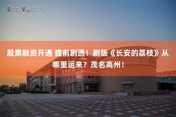 股票融资开通 提前剧透！剧版《长安的荔枝》从哪里运来？茂名高州！