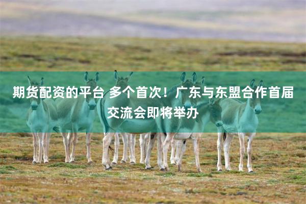 期货配资的平台 多个首次！广东与东盟合作首届交流会即将举办