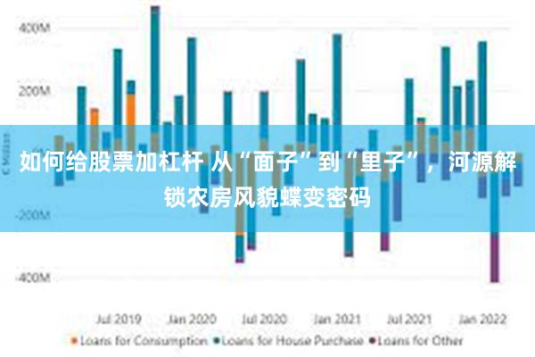 如何给股票加杠杆 从“面子”到“里子”，河源解锁农房风貌蝶变密码