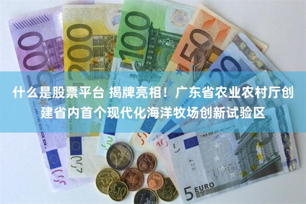 什么是股票平台 揭牌亮相！广东省农业农村厅创建省内首个现代化海洋牧场创新试验区