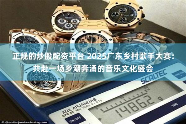 正规的炒股配资平台 2025广东乡村歌手大赛：共赴一场乡潮奔涌的音乐文化盛会