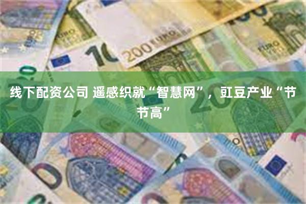 线下配资公司 遥感织就“智慧网”，豇豆产业“节节高”