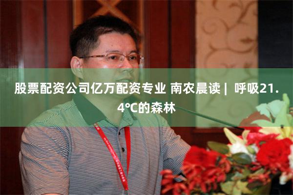 股票配资公司亿万配资专业 南农晨读 |  呼吸21.4℃的森林
