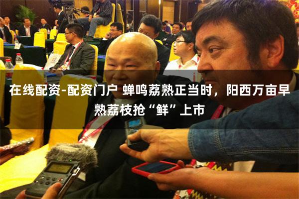 在线配资-配资门户 蝉鸣荔熟正当时，阳西万亩早熟荔枝抢“鲜”上市