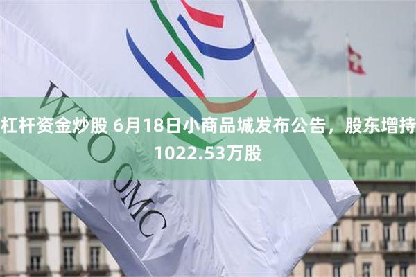 杠杆资金炒股 6月18日小商品城发布公告，股东增持1022.53万股
