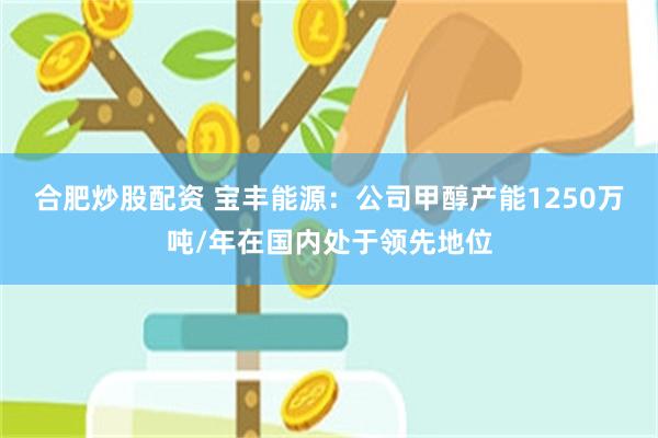 合肥炒股配资 宝丰能源：公司甲醇产能1250万吨/年在国内处于领先地位