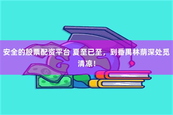 安全的股票配资平台 夏至已至，到番禺林荫深处觅清凉！