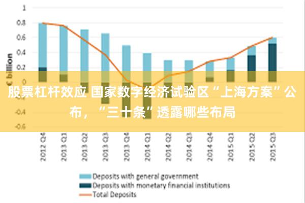 股票杠杆效应 国家数字经济试验区“上海方案”公布，“三十条”透露哪些布局