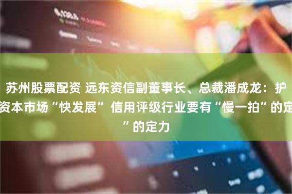 苏州股票配资 远东资信副董事长、总裁潘成龙：护航资本市场“快发展” 信用评级行业要有“慢一拍”的定力
