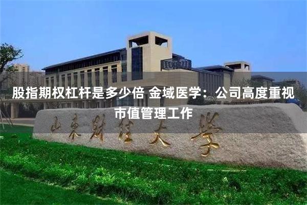 股指期权杠杆是多少倍 金域医学：公司高度重视市值管理工作