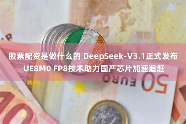 股票配资是做什么的 DeepSeek-V3.1正式发布 UE8M0 FP8技术助力国产芯片加速追赶