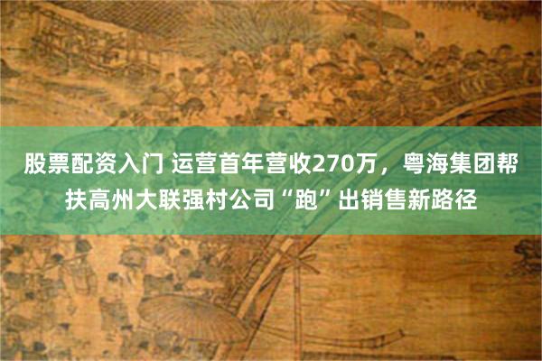 股票配资入门 运营首年营收270万，粤海集团帮扶高州大联强村公司“跑”出销售新路径