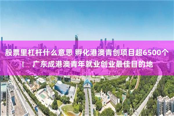 股票里杠杆什么意思 孵化港澳青创项目超6500个！  广东成港澳青年就业创业最佳目的地