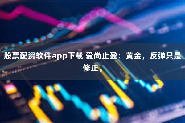 股票配资软件app下载 爱尚止盈:黄金,反弹只是修正。