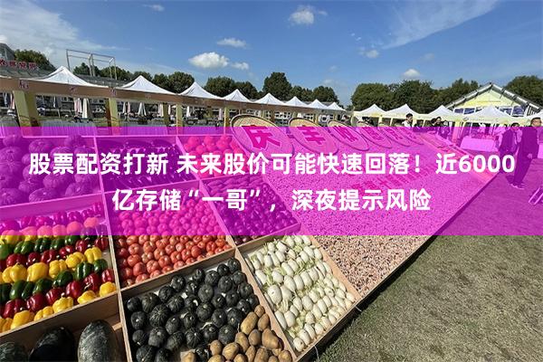 股票配资打新 未来股价可能快速回落!近6000亿存储“一哥”,深夜提示风险