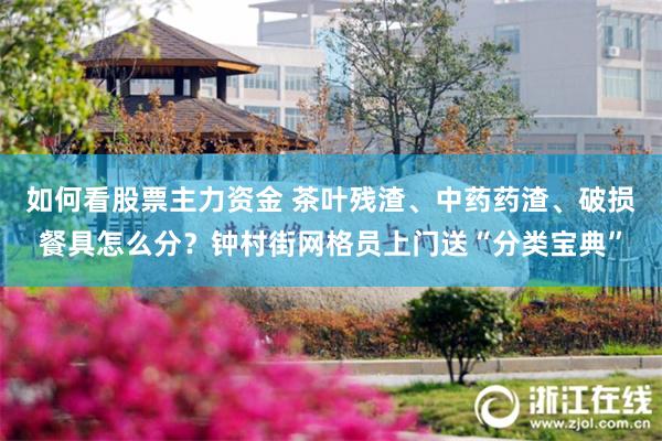 如何看股票主力资金 茶叶残渣、中药药渣、破损餐具怎么分？钟村街网格员上门送“分类宝典”
