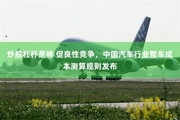 炒股杠杆是啥 促良性竞争，中国汽车行业整车成本测算规则发布