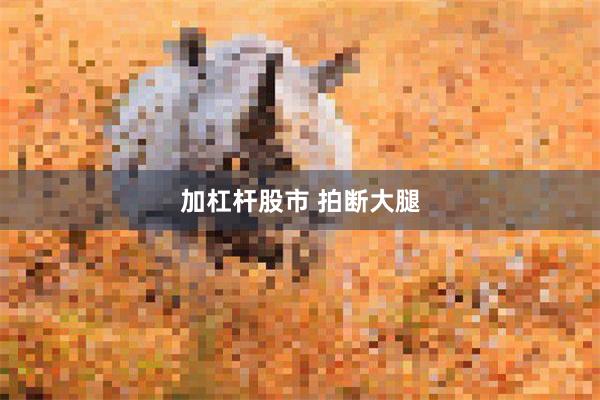 加杠杆股市 拍断大腿