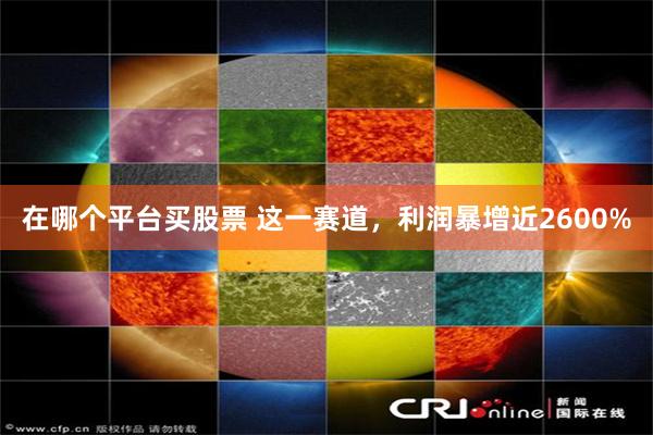 在哪个平台买股票 这一赛道，利润暴增近2600%
