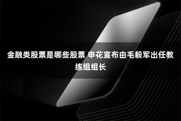 金融类股票是哪些股票 申花宣布由毛毅军出任教练组组长
