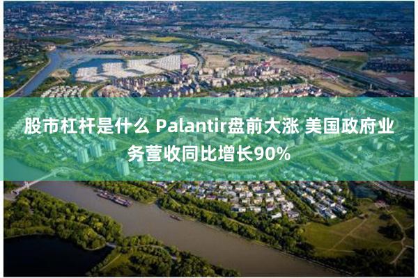 股市杠杆是什么 Palantir盘前大涨 美国政府业务营收同比增长90%