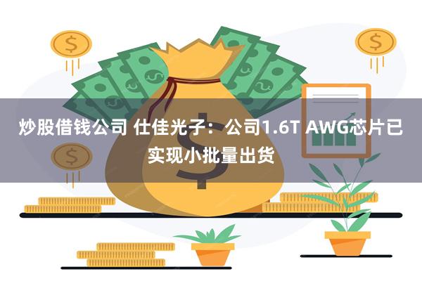 炒股借钱公司 仕佳光子：公司1.6T AWG芯片已实现小批量出货