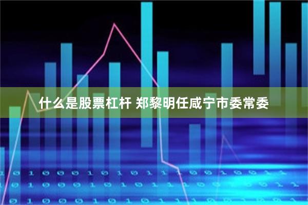 什么是股票杠杆 郑黎明任咸宁市委常委