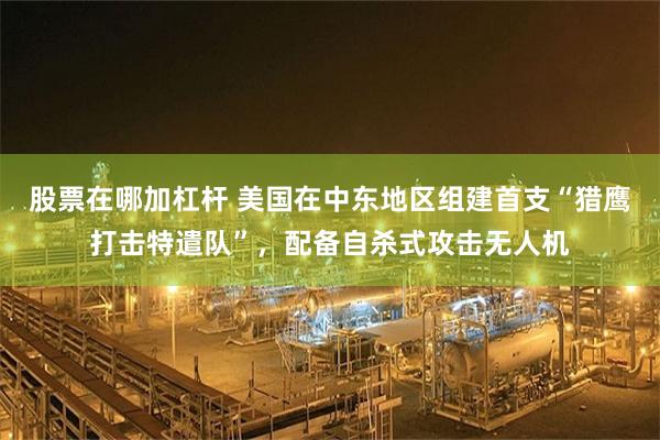 股票在哪加杠杆 美国在中东地区组建首支“猎鹰打击特遣队”，配备自杀式攻击无人机