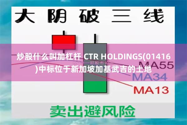 炒股什么叫加杠杆 CTR HOLDINGS(01416)中标位于新加坡加基武吉的土地