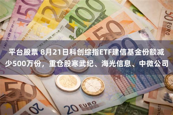 平台股票 8月21日科创综指ETF建信基金份额减少500万份，重仓股寒武纪、海光信息、中微公司