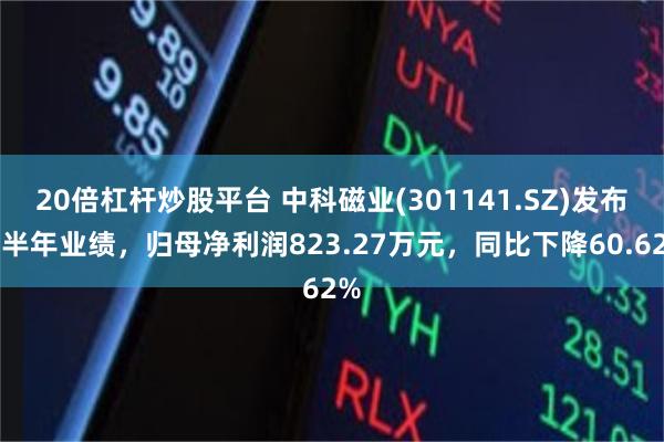 20倍杠杆炒股平台 中科磁业(301141.SZ)发布上半年业绩，归母净利润823.27万元，同比下降60.62%